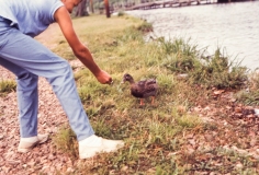 Eddie Joe feeding duck